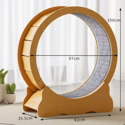 Cat Exercise Wheel